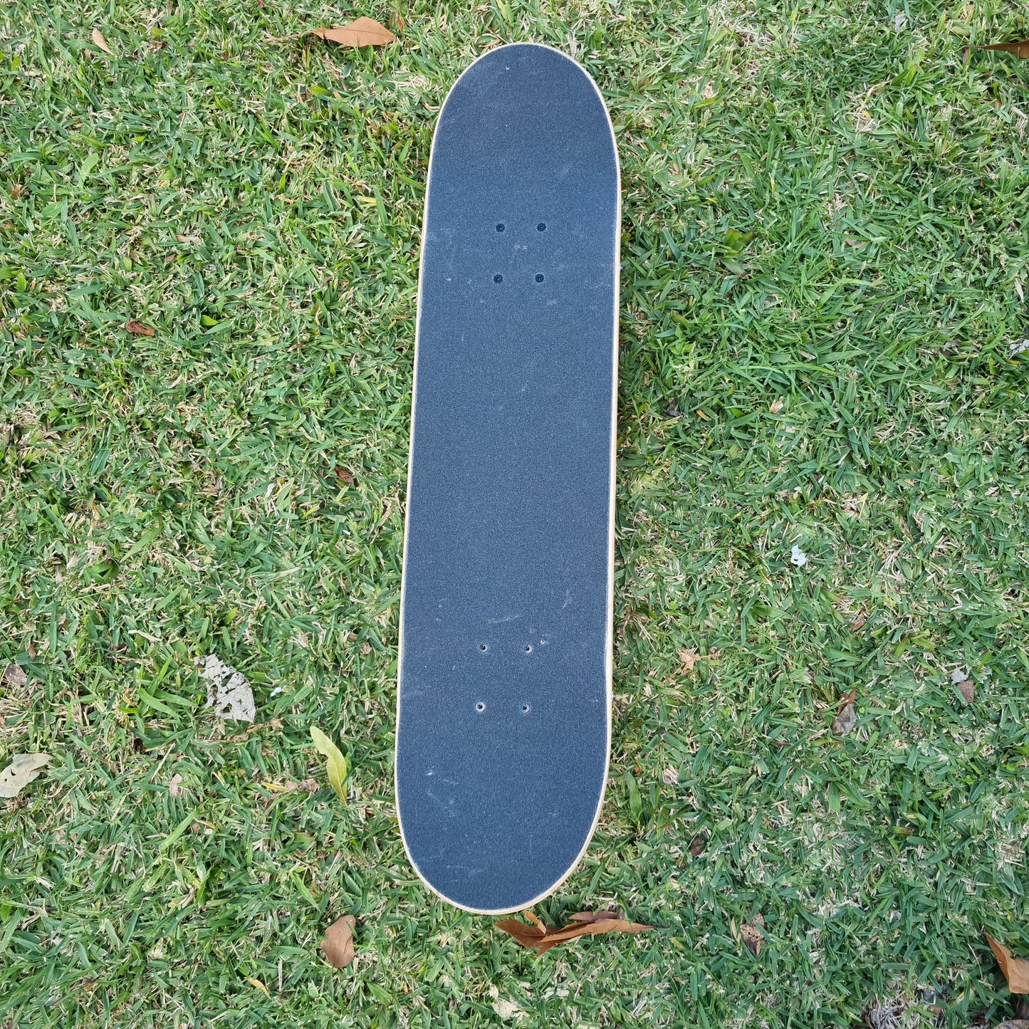 Holiday Sunday Best Skateboard