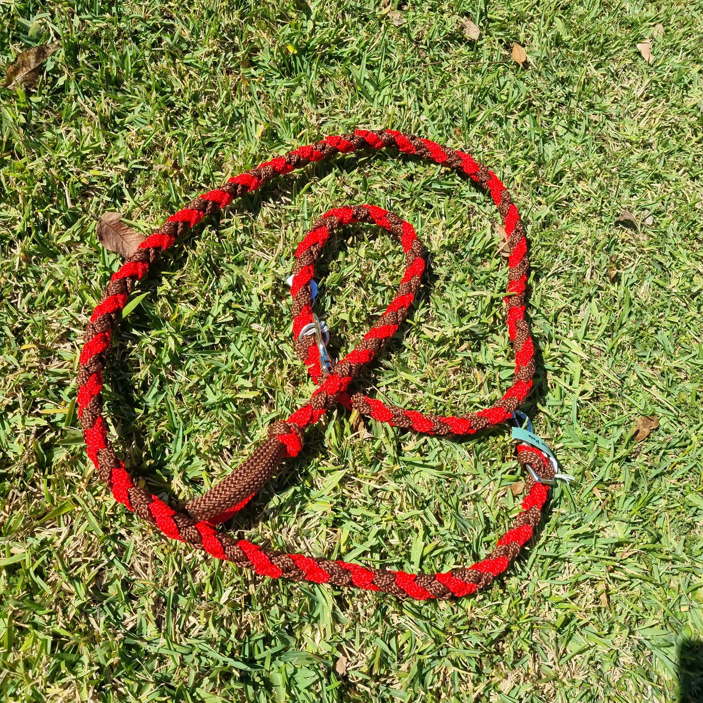 Dog Braided Lead 2m