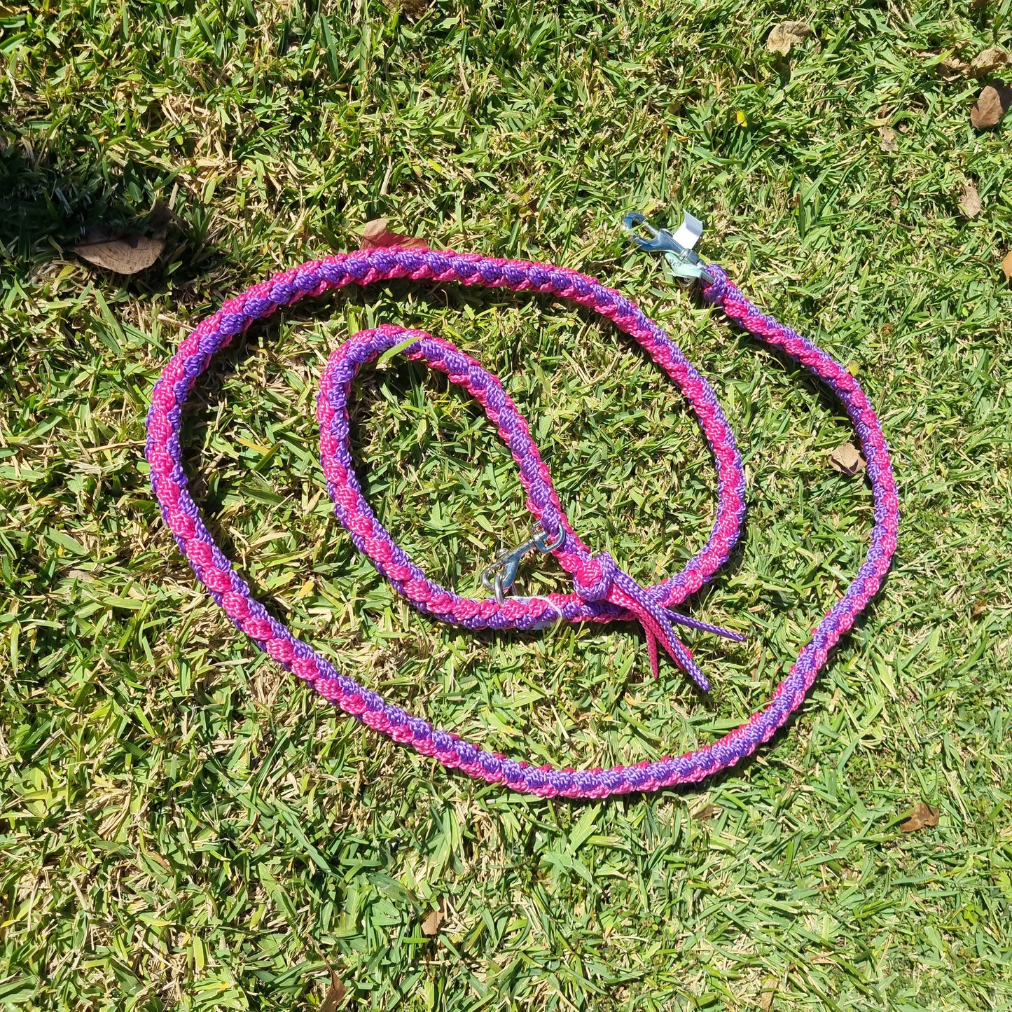 Dog Braided Lead 2m