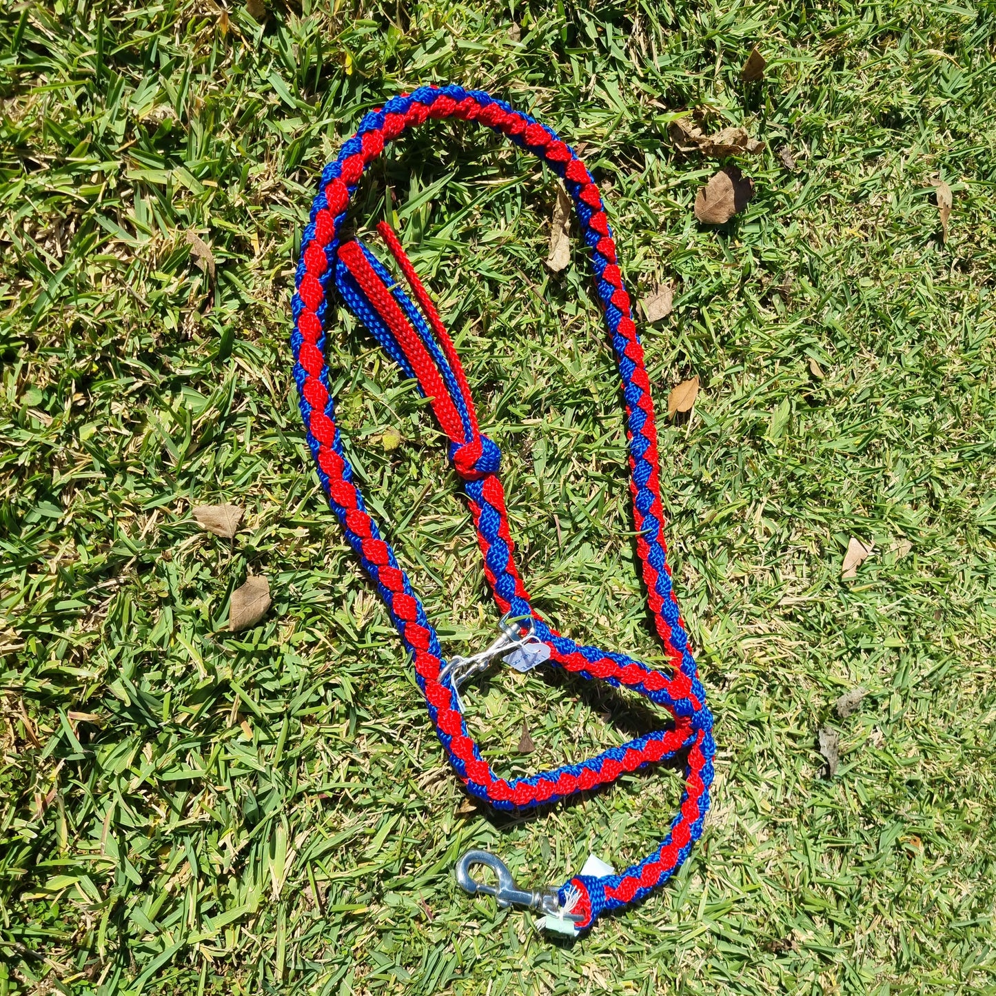 Dog Braided Lead 1.5m