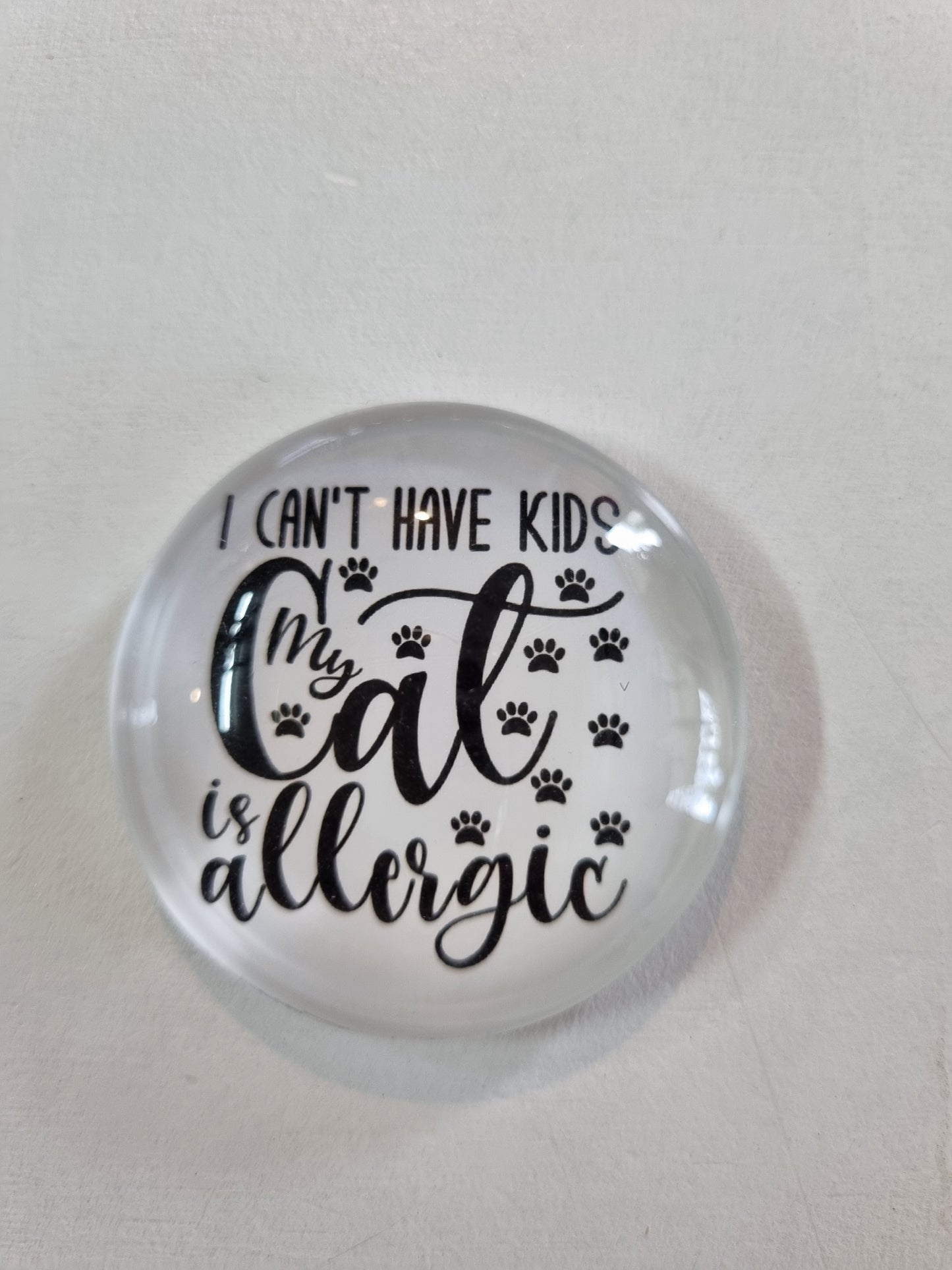 Round Glass Cat Magnet