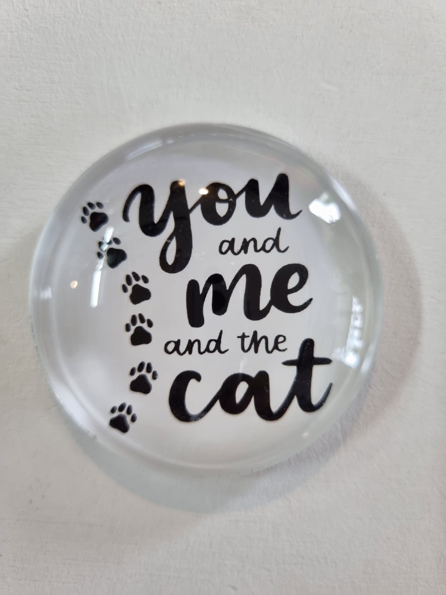 Round Glass Cat Magnet