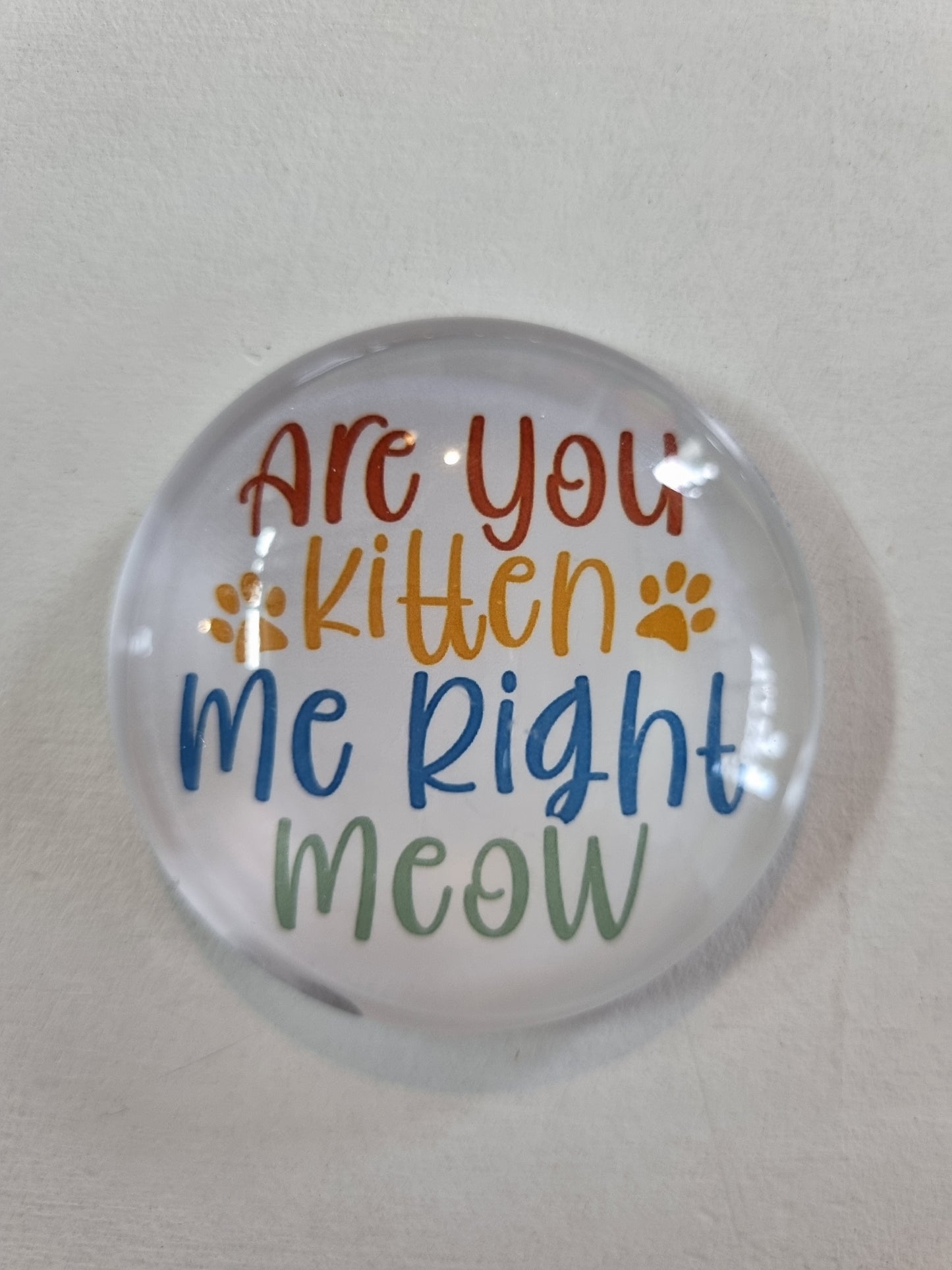 Round Glass Cat Magnet