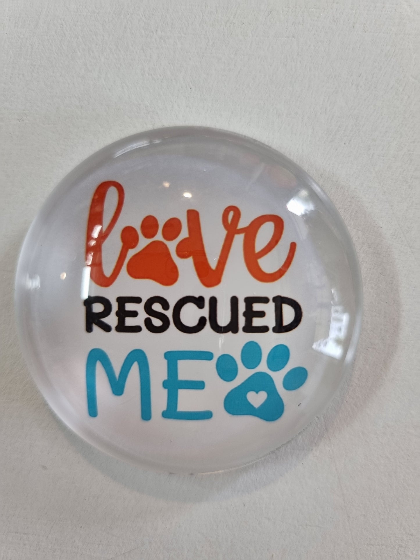 Round Glass Dog Magnet