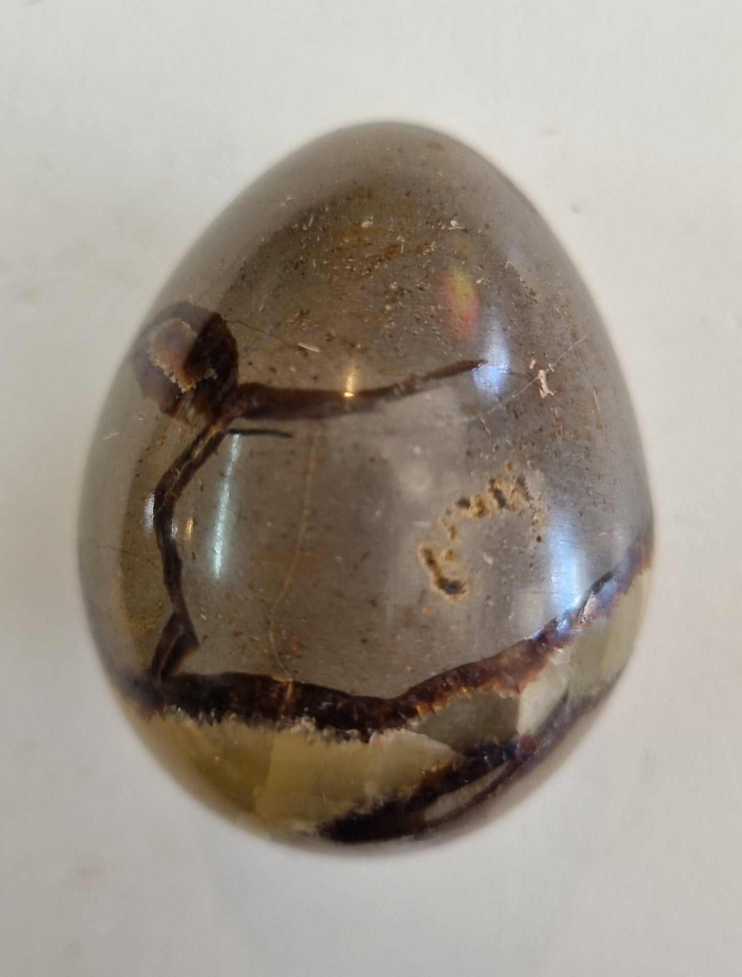 Septarian Egg