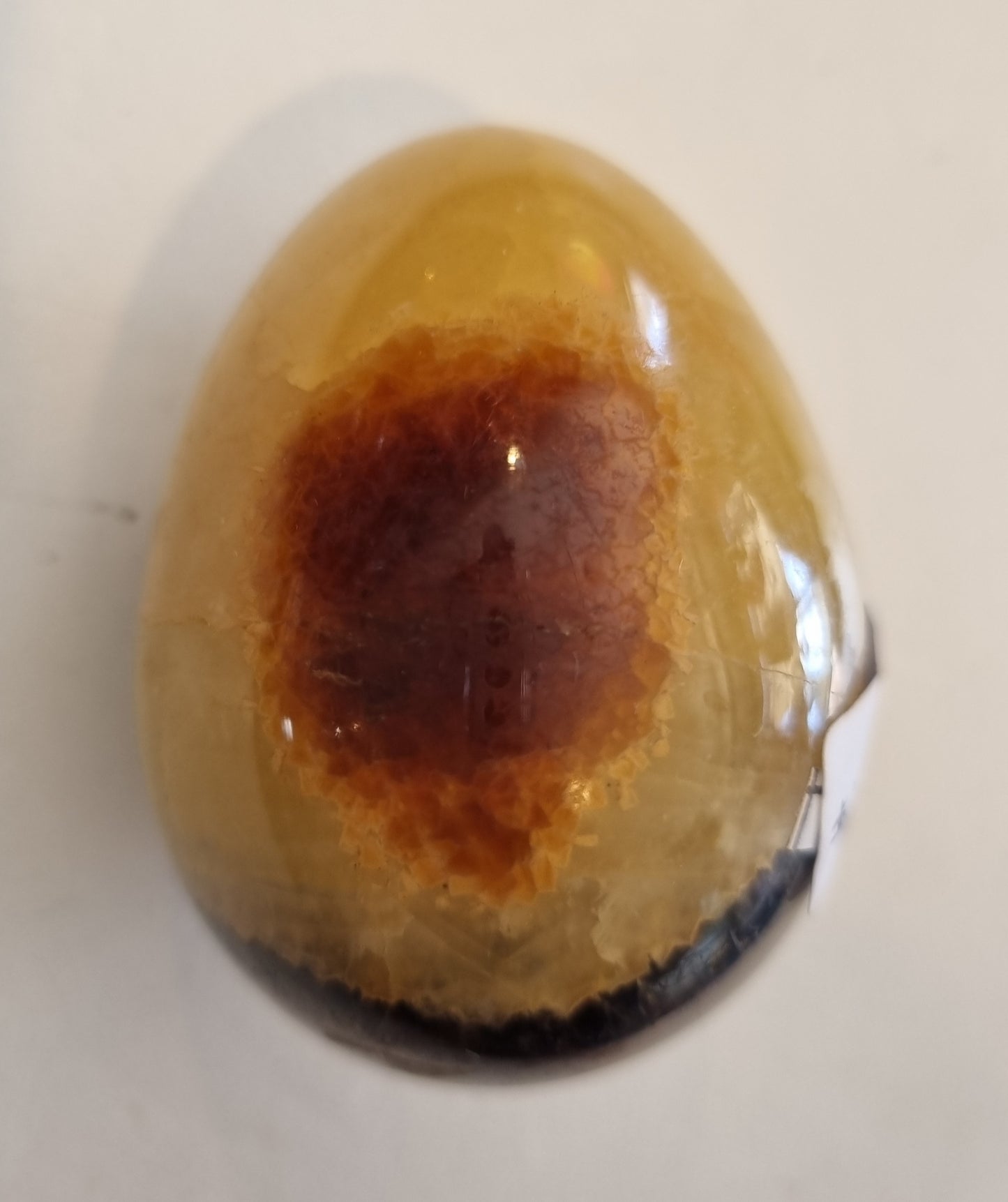 Septarian Egg