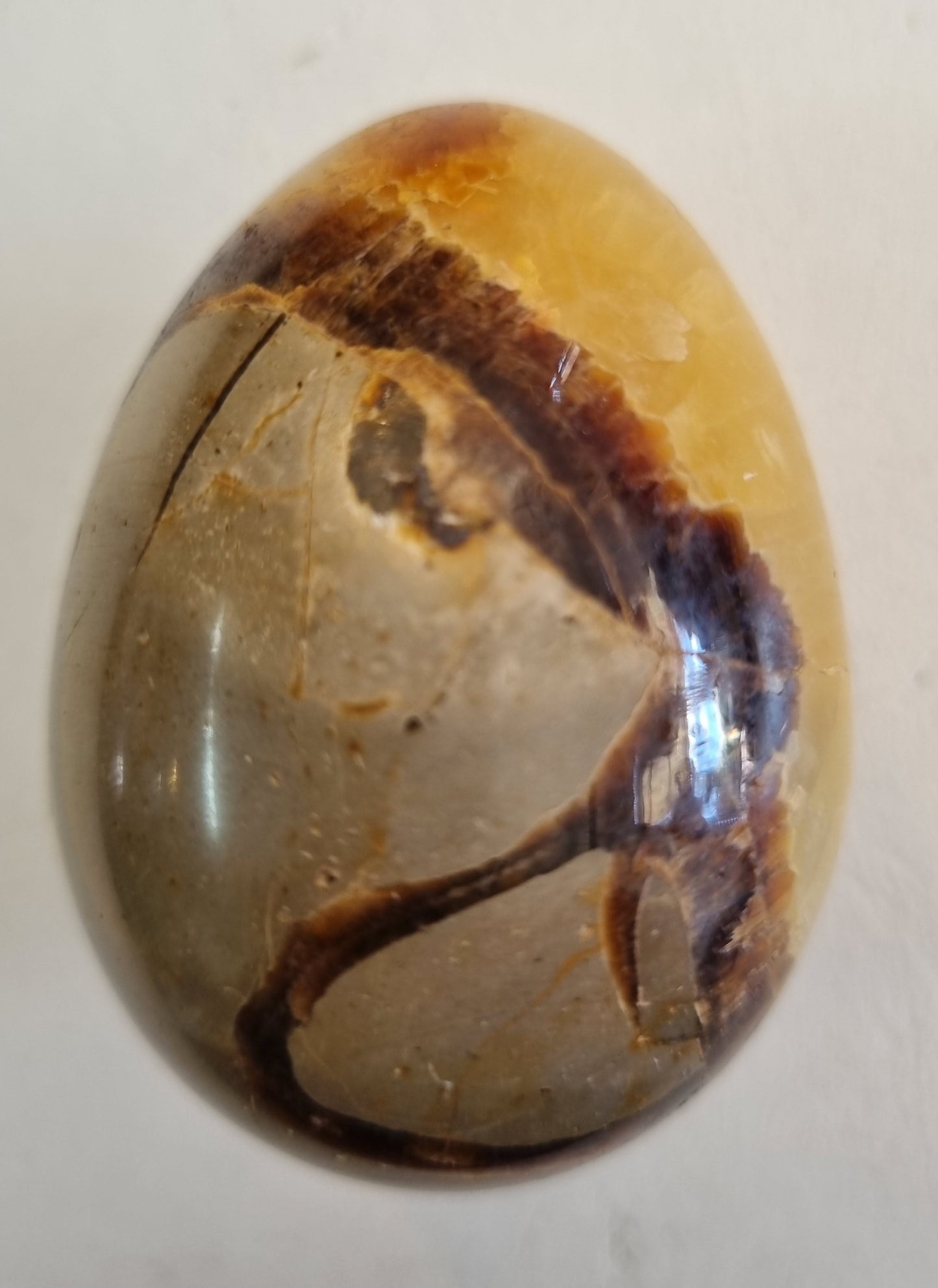 Septarian Egg