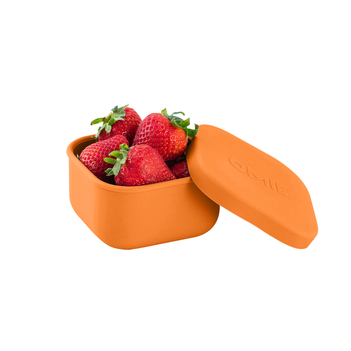 OmieSnack Silicone Container