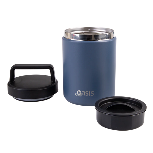 Stainless Steel Double Wall Insulated Food Flask with Handle