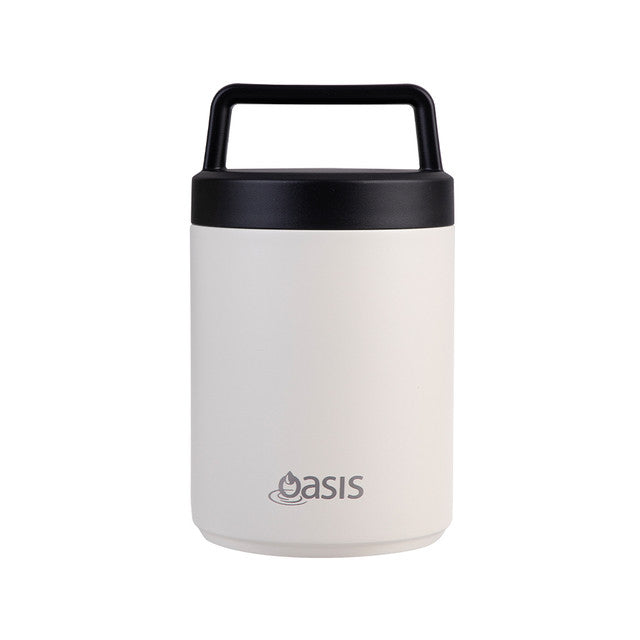 Stainless Steel Double Wall Insulated Food Flask with Handle