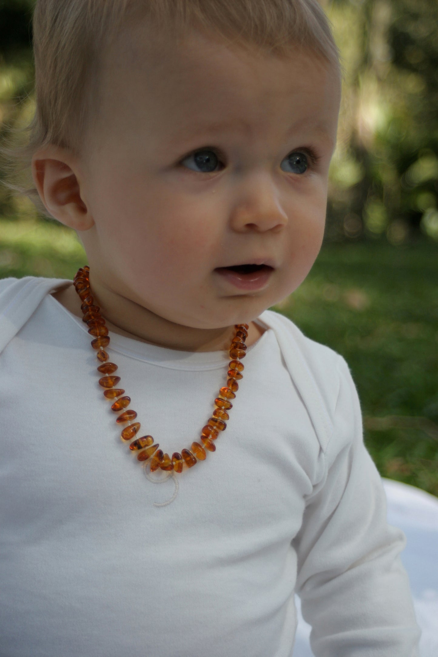 Amber Necklace