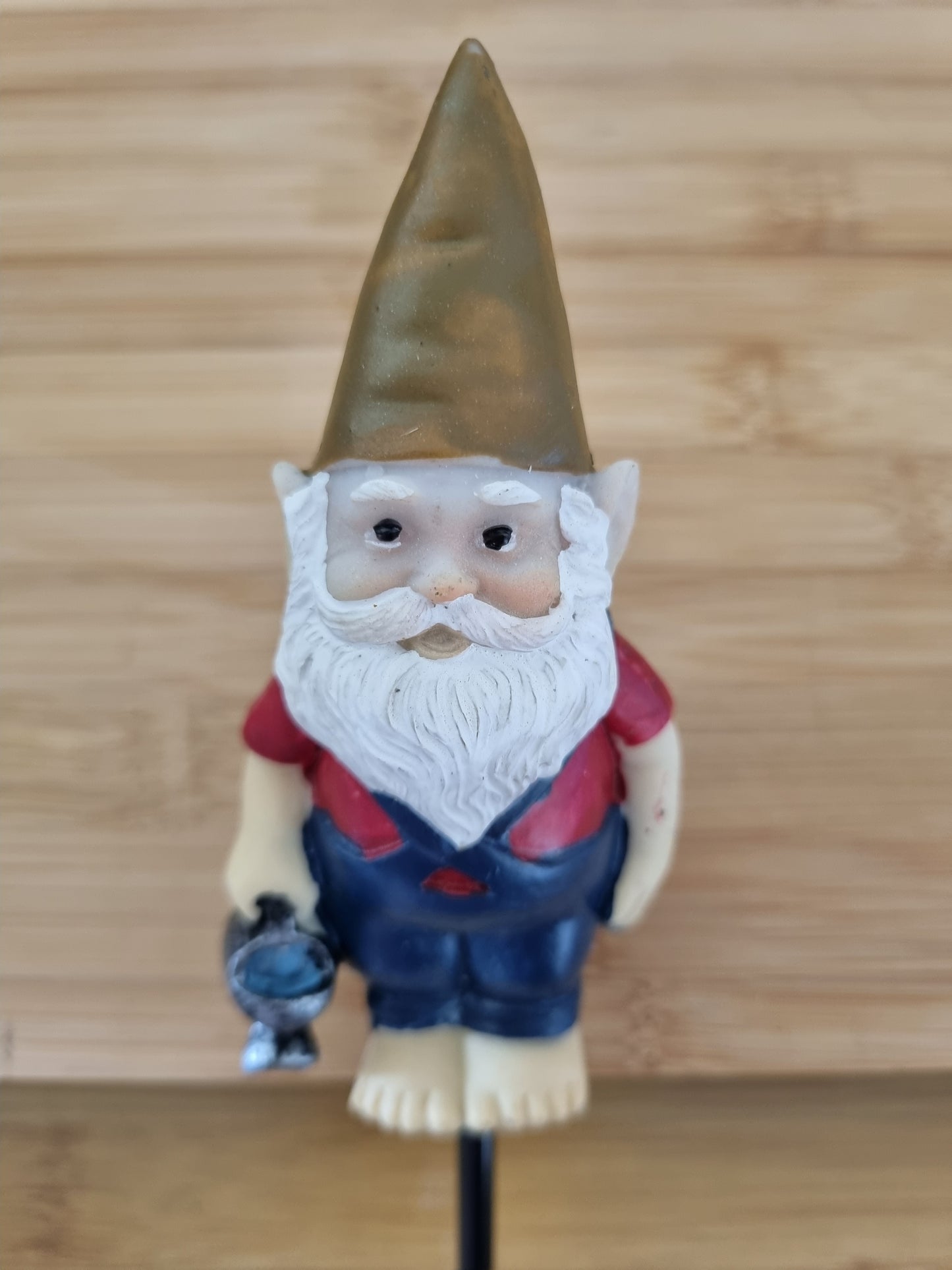 Gnome Garden Stakes