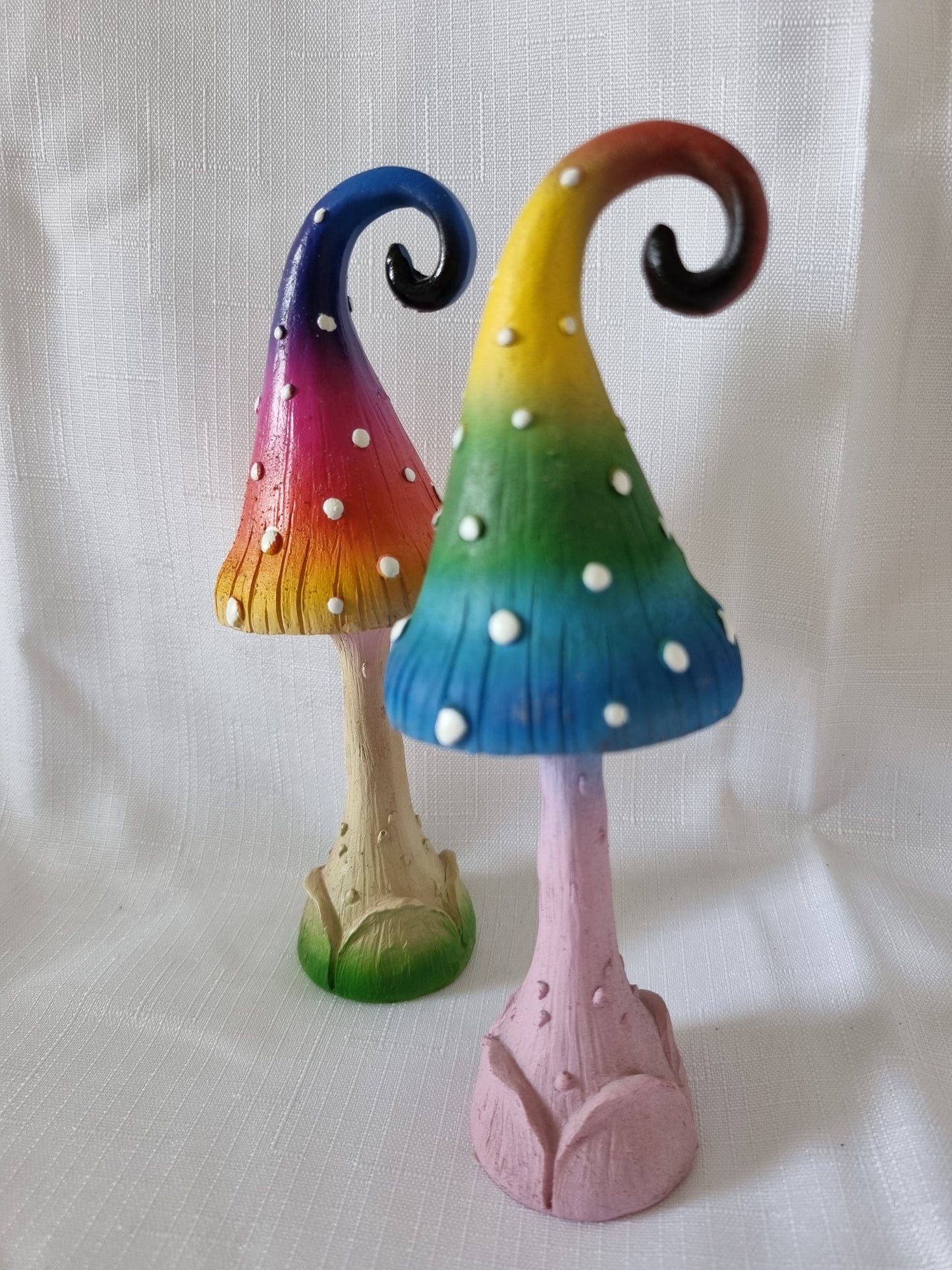 Rainbow Fairy Mushroom