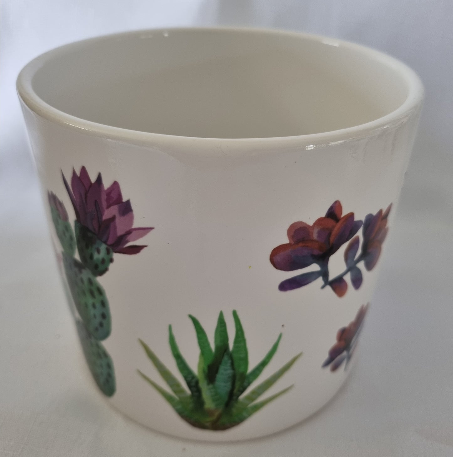 Round White Pot with Cactus