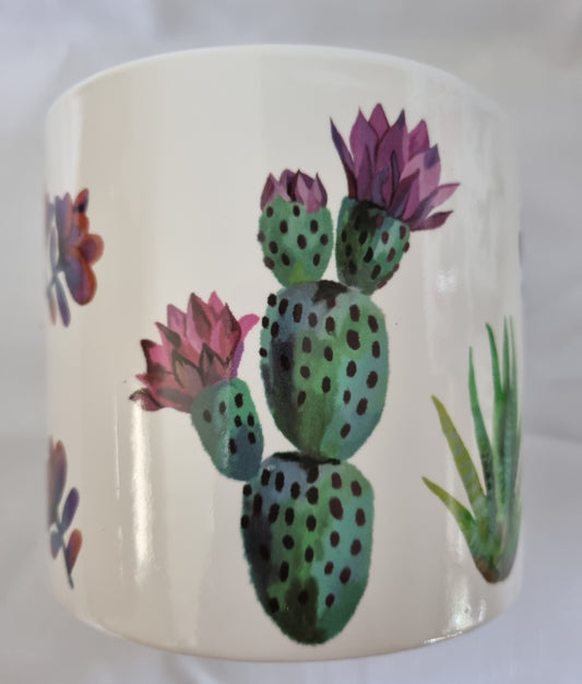 Round White Pot with Cactus