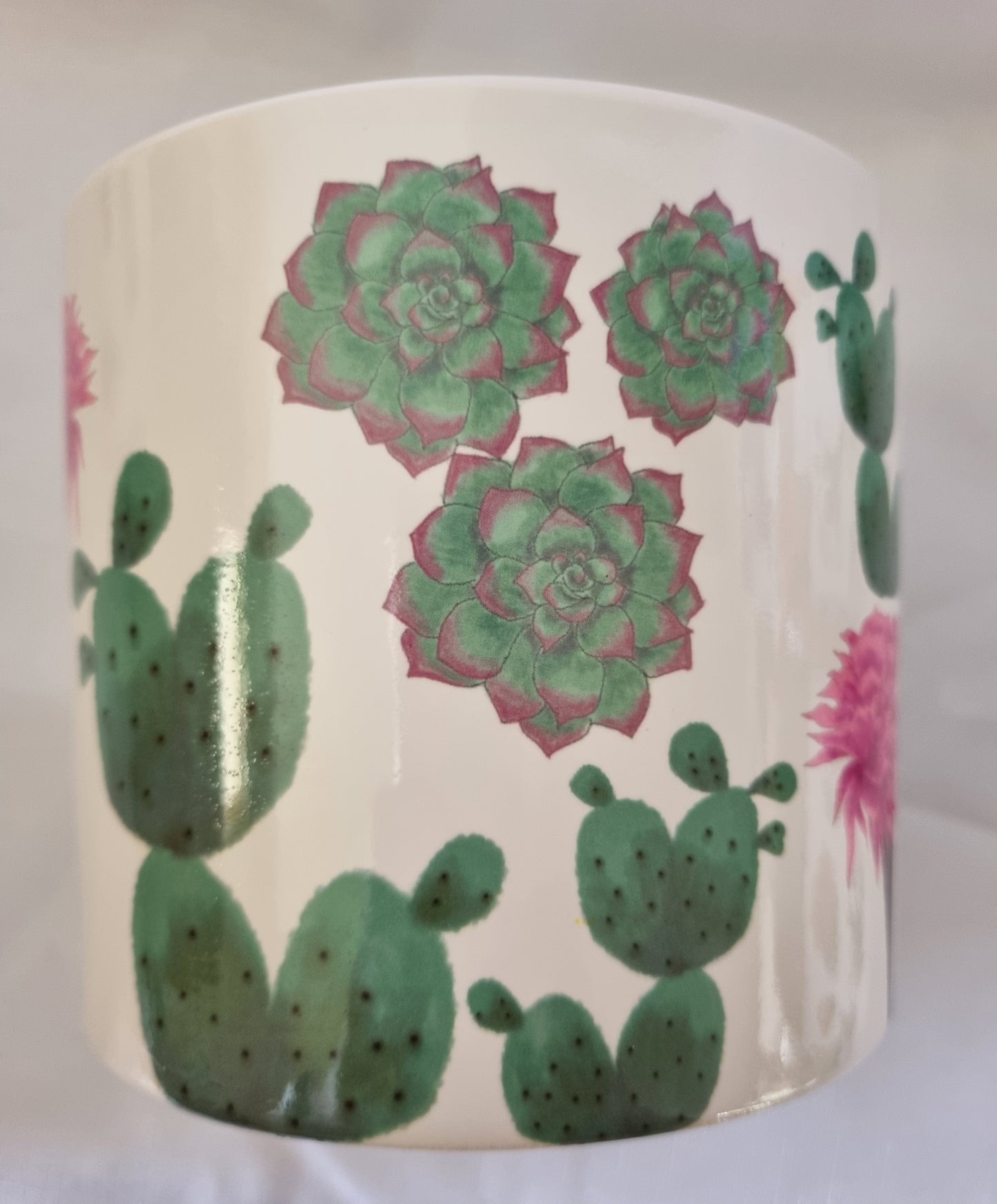 Round White Pot with Cactus