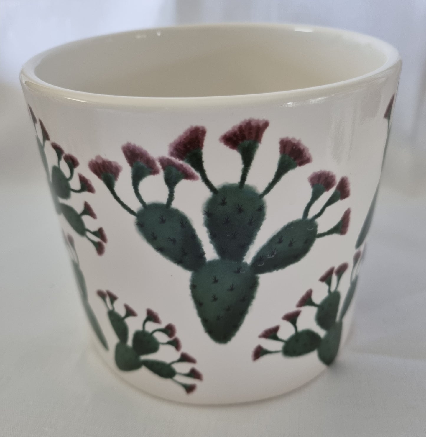 Round White Pot with Cactus