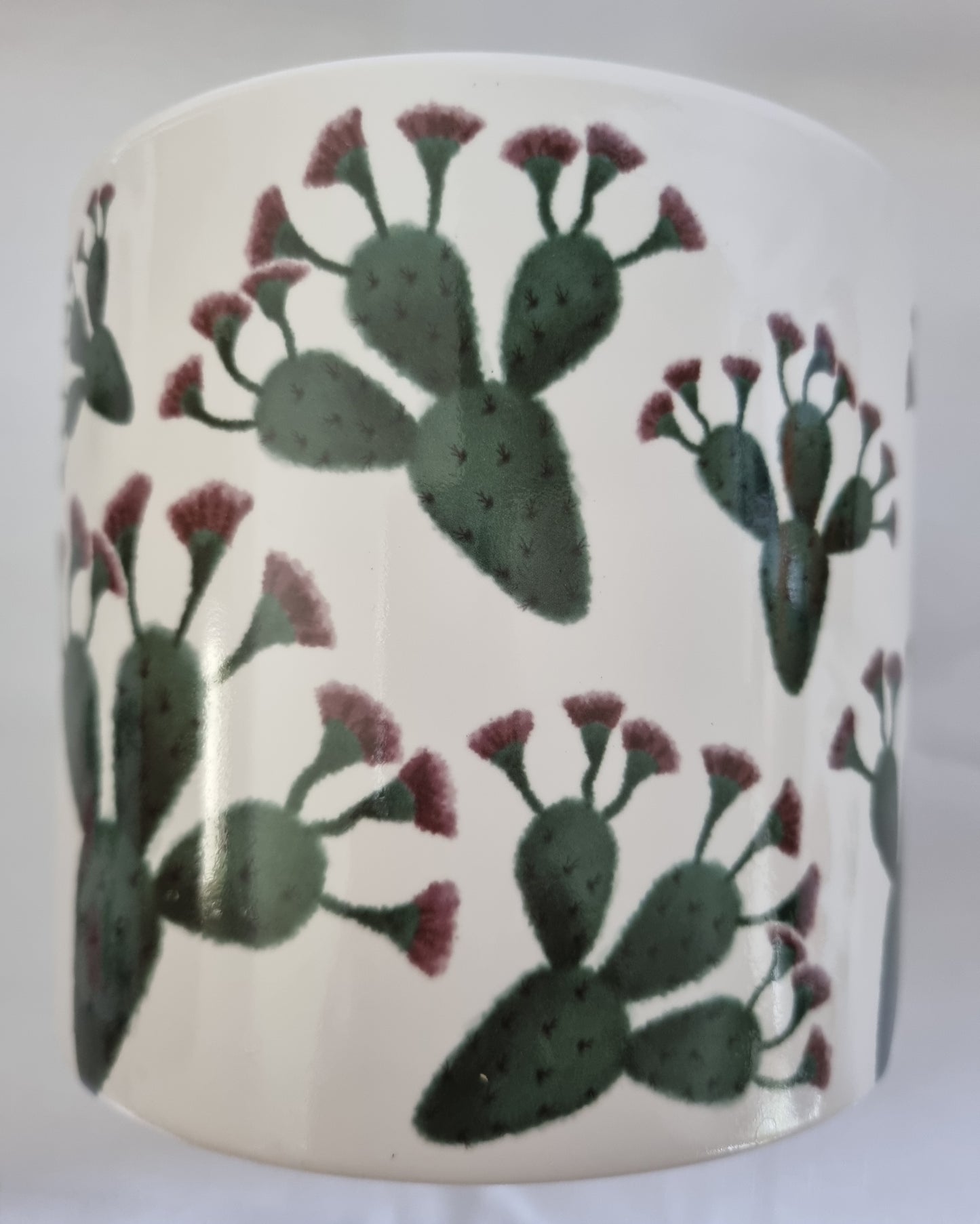 Round White Pot with Cactus