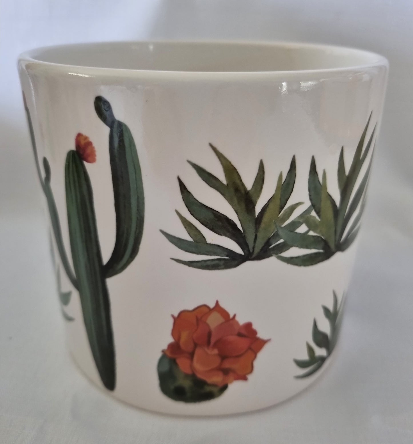 Round White Pot with Cactus