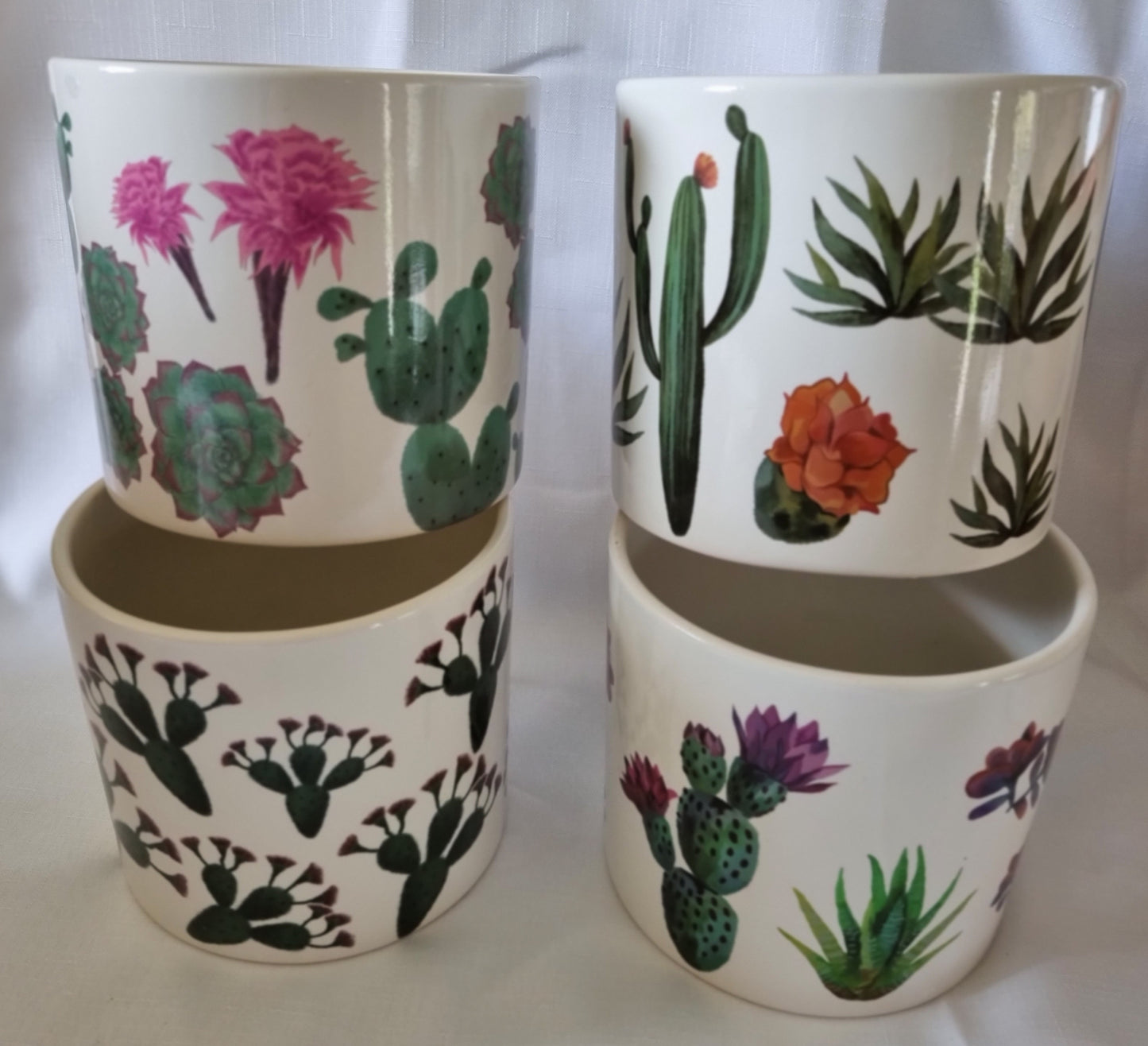 Round White Pot with Cactus