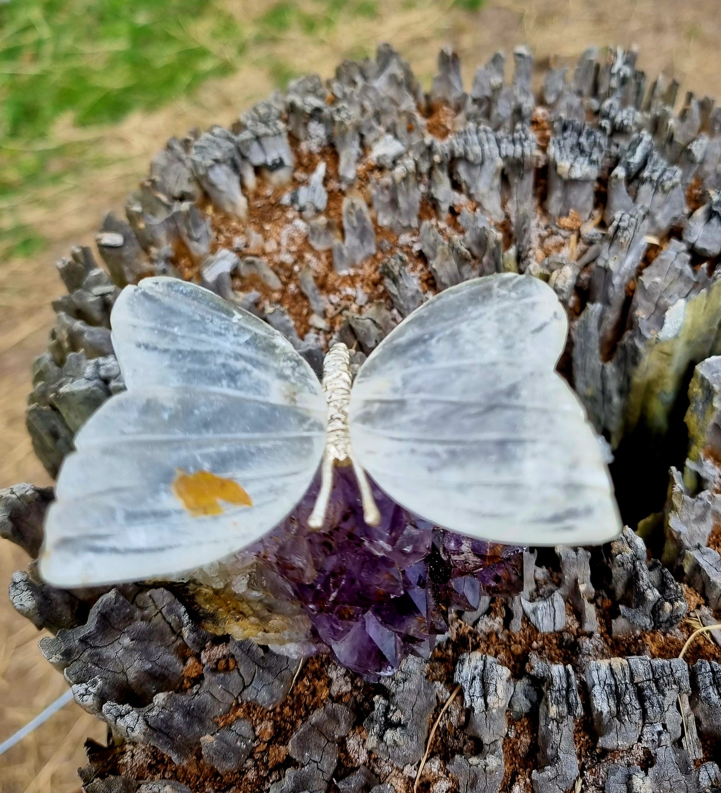 Amethyst Cluster With Quarts Butterfly