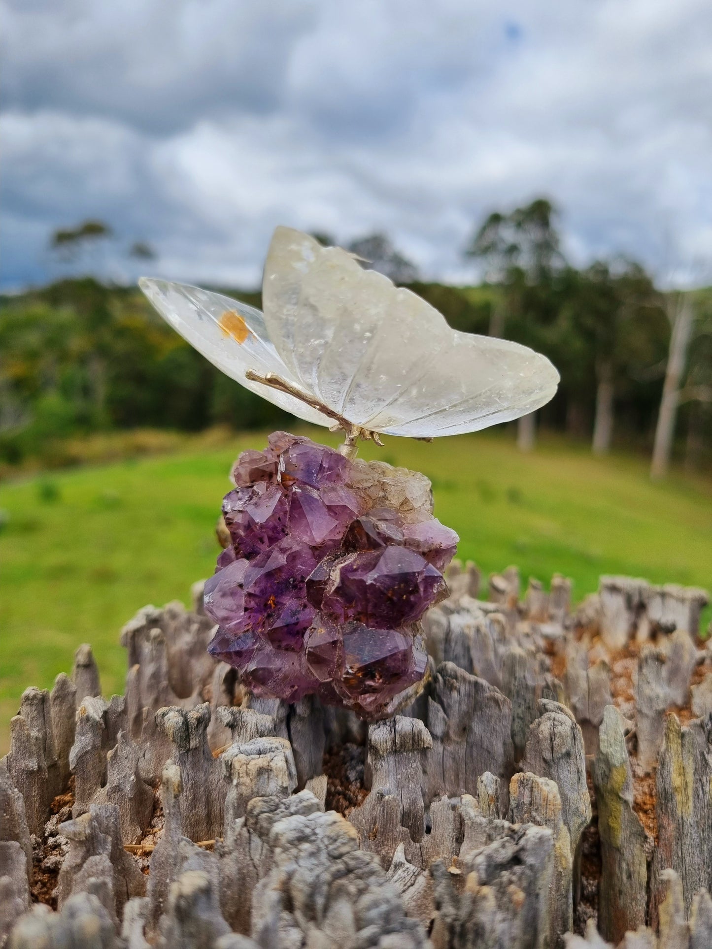 Amethyst Cluster With Quarts Butterfly