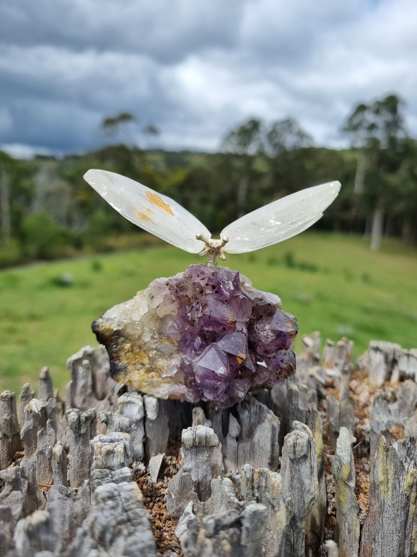 Amethyst Cluster With Quarts Butterfly